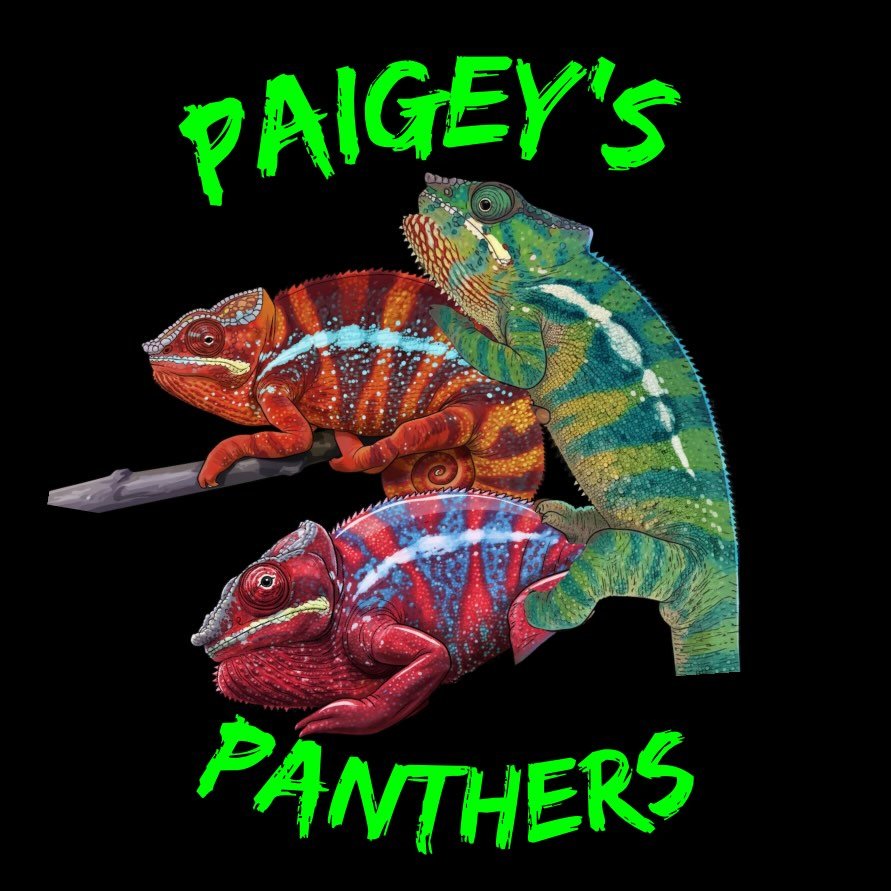 Paigey's Panthers